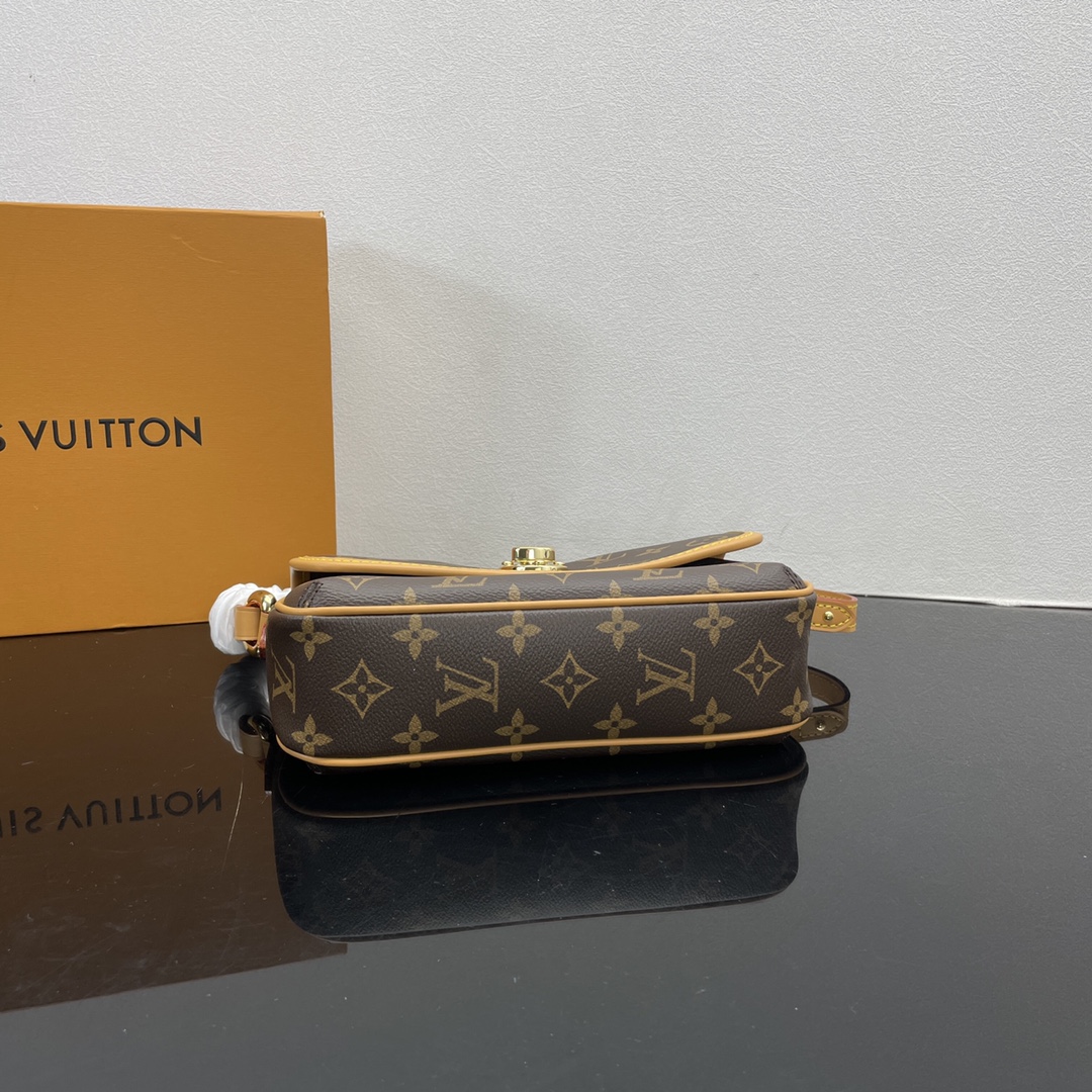 Louis Vuitton Satchel Bags